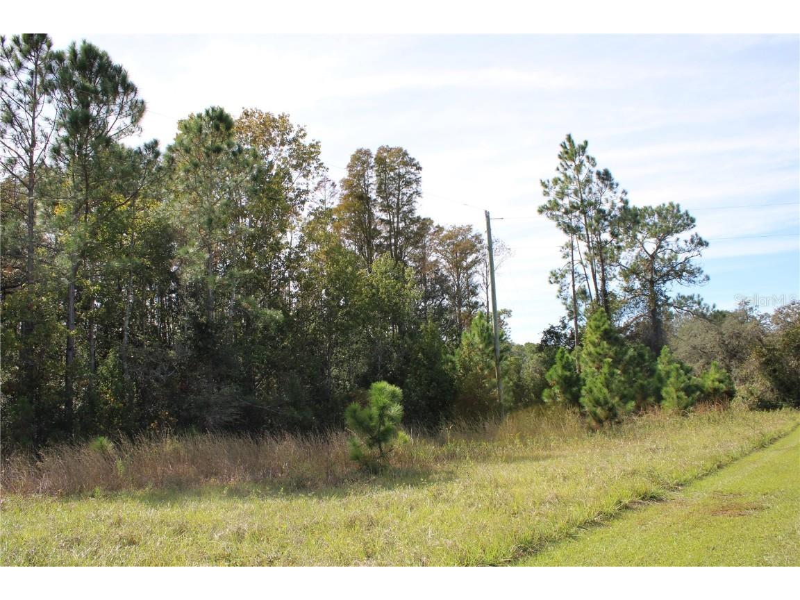 Duboise Drive Clermont FL 34711 S5138235 image8