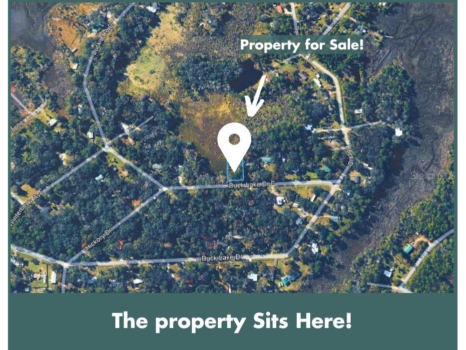 Duck Lake Drive Fernandina Beach FL 32034 TB8501244 image13