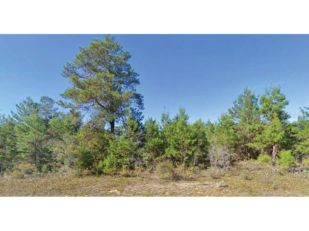 Dumajack Road Chipley FL 32428 O6325912 image1