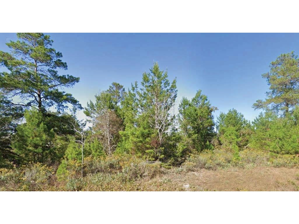 Dumajack Road Chipley FL 32428 O6325918 image1