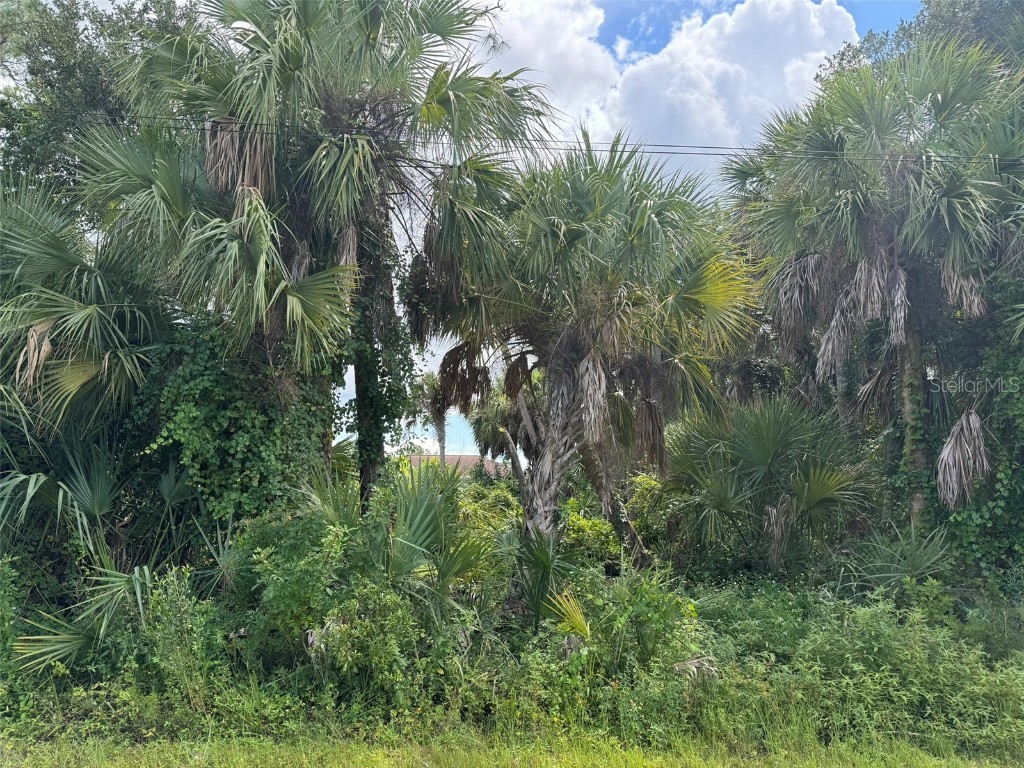 Dumont Lane North Port FL 34286 D6138100 image1