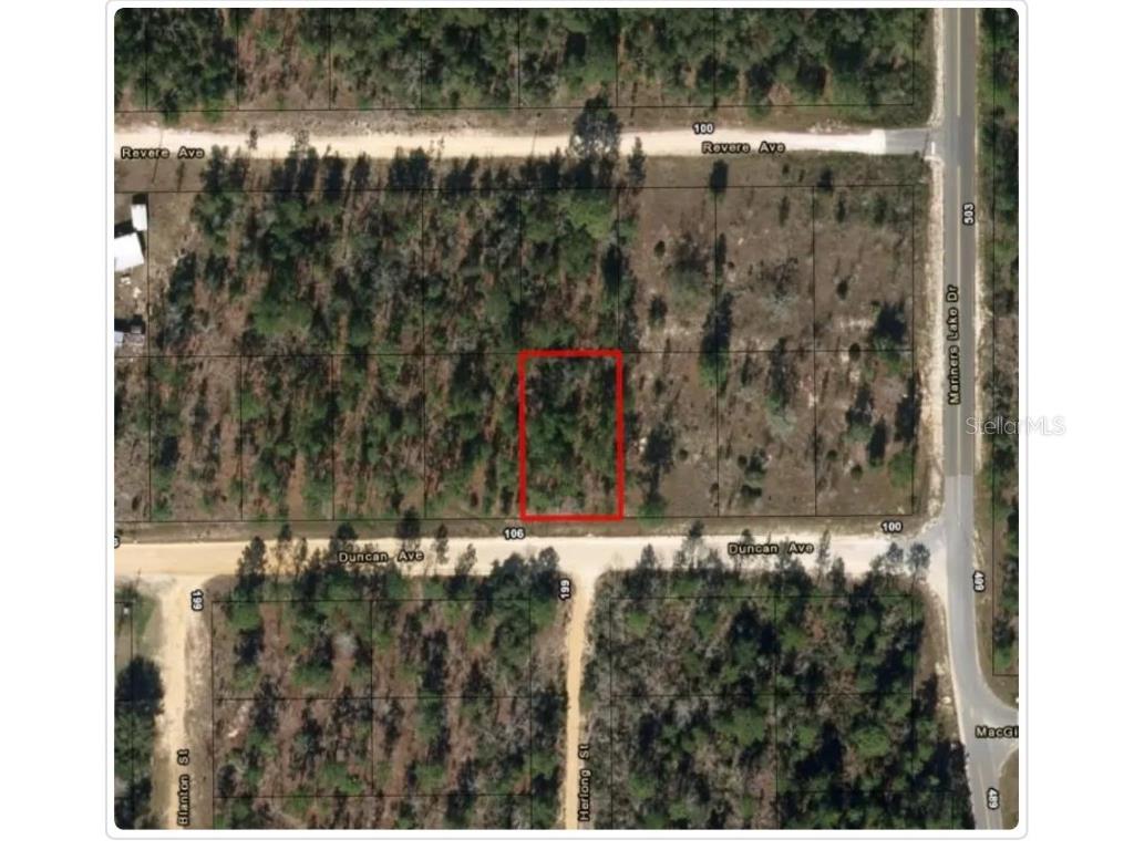 Duncan Ave Interlachen FL 32148 J973006 image1