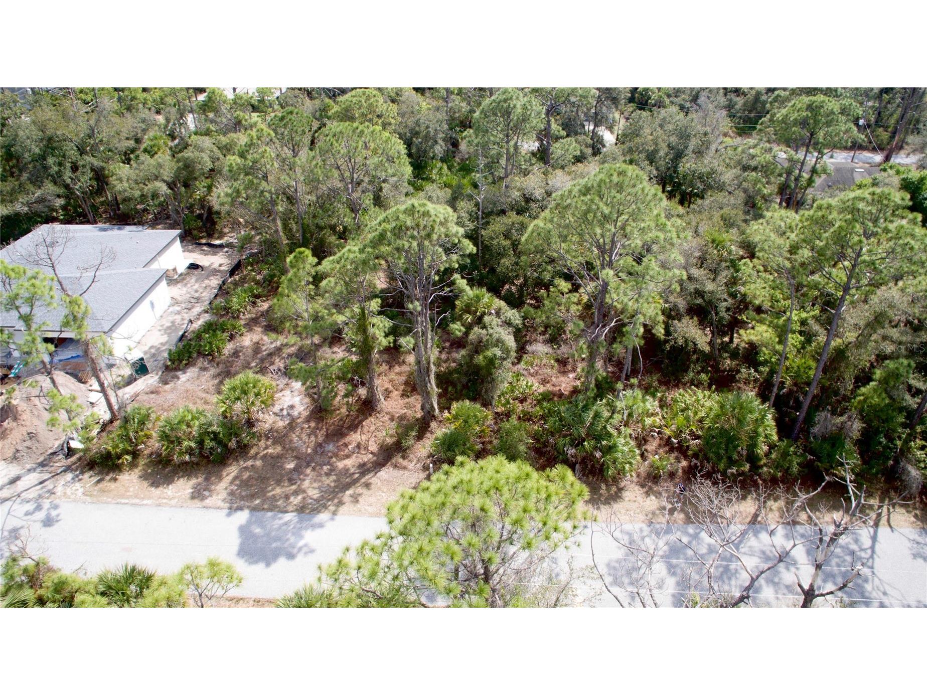 Dundee Avenue North Port FL 34291 C7522948 image17