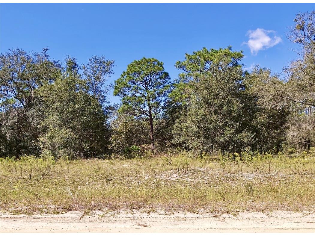 Dunham Ave Interlachen FL 32148 V4933411 image1