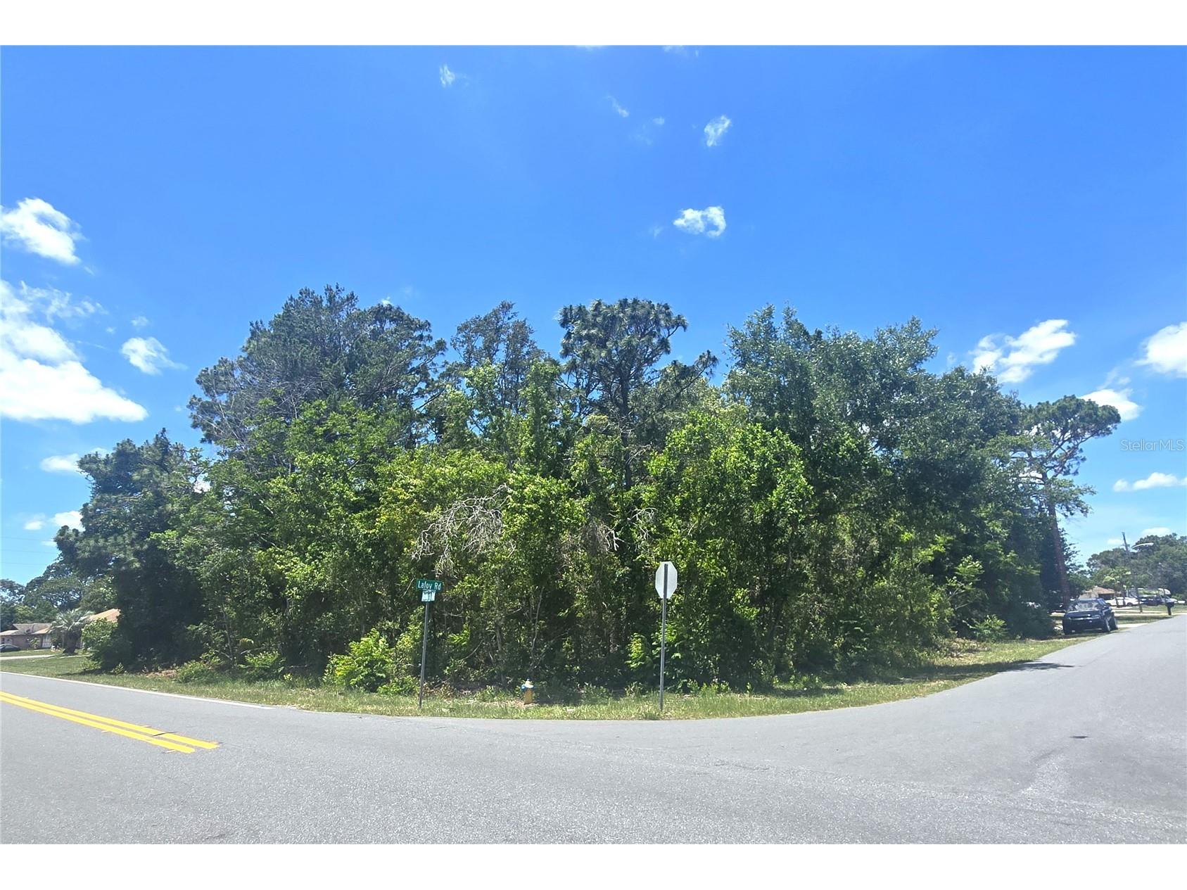 Dunkirk Road Spring Hill FL 34608 W7886453 image2