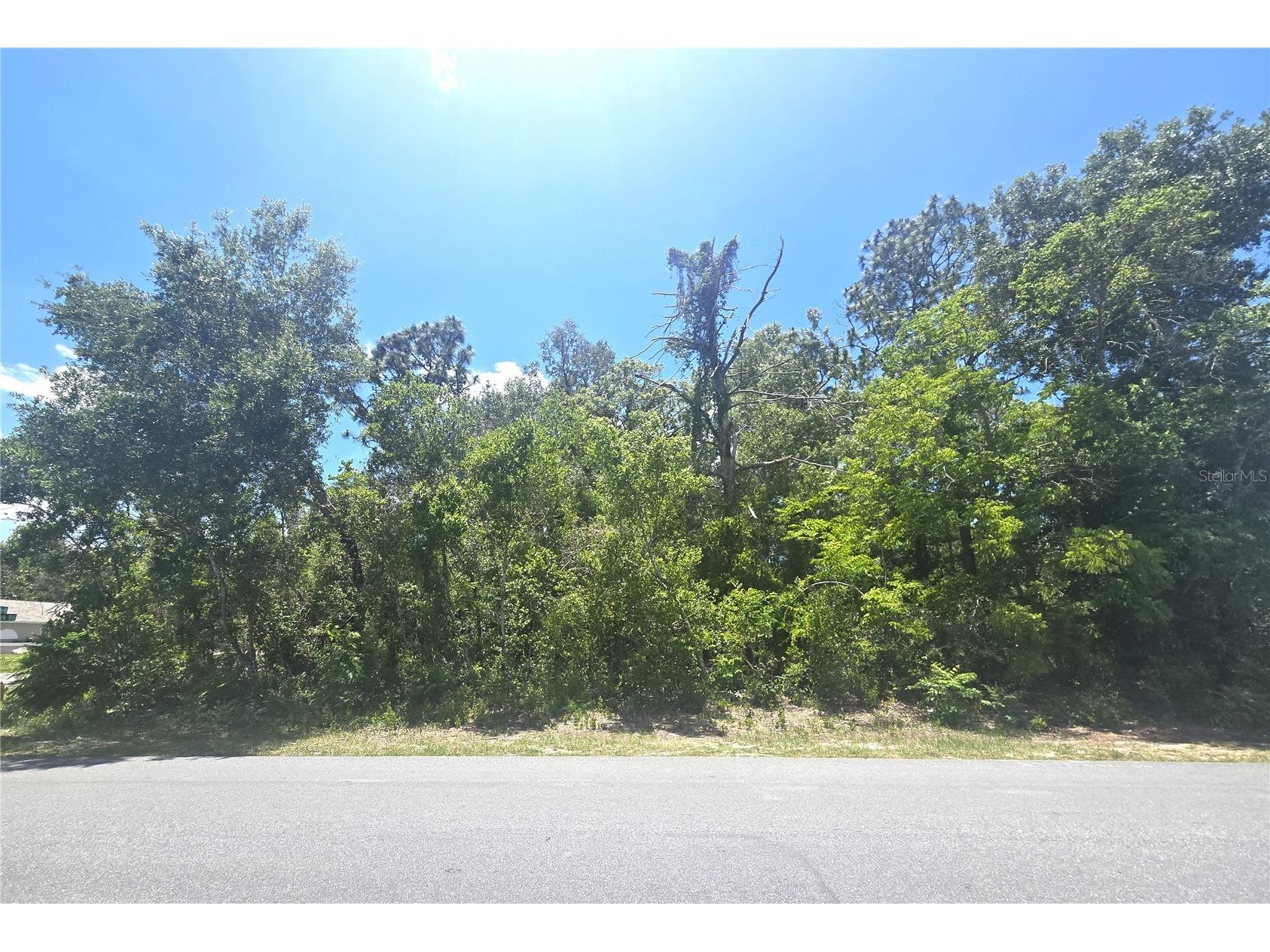 Dunkirk Road Spring Hill FL 34608 W7886453 image3