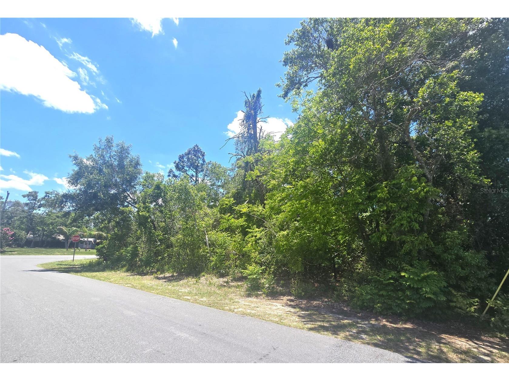 Dunkirk Road Spring Hill FL 34608 W7886453 image5