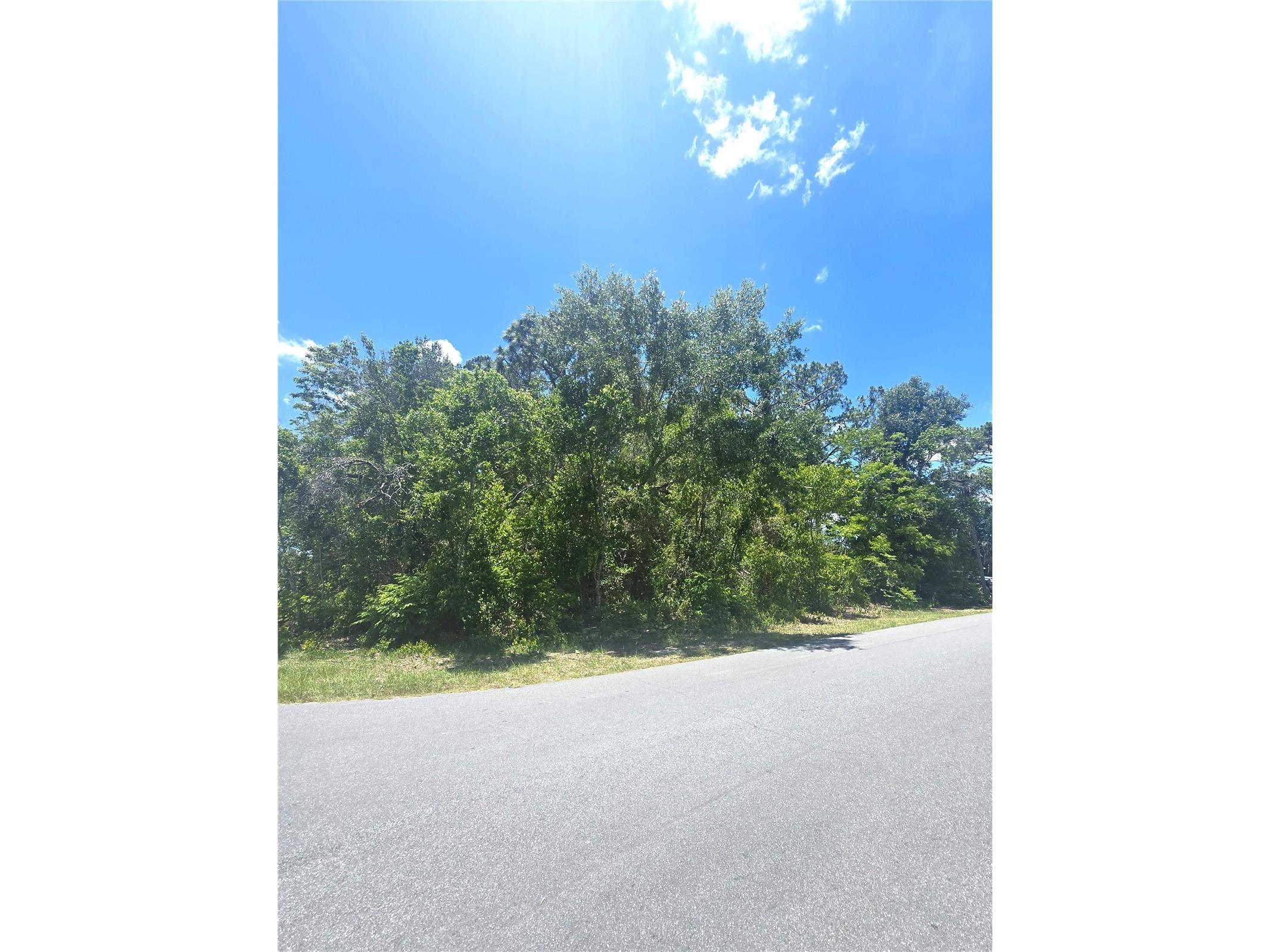 Dunkirk Road Spring Hill FL 34608 W7886453 image8