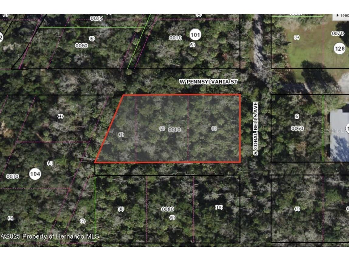 Dunn & Pennsylvania Homosassa FL 34448 TB8399686 image1