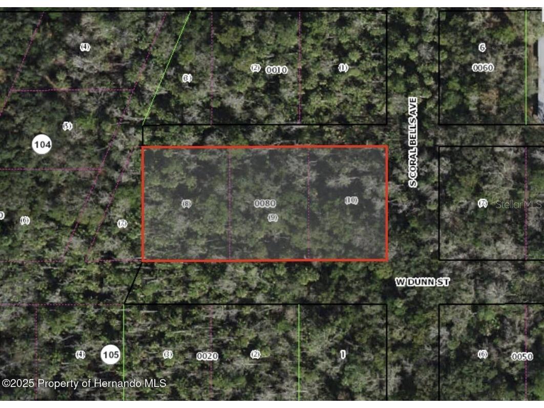 Dunn & Pennsylvania Homosassa FL 34448 TB8399686 image2