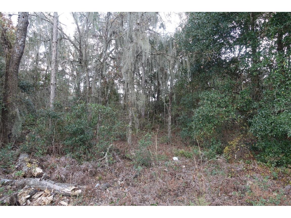  Dunnellon FL 34432 OM631697 image1