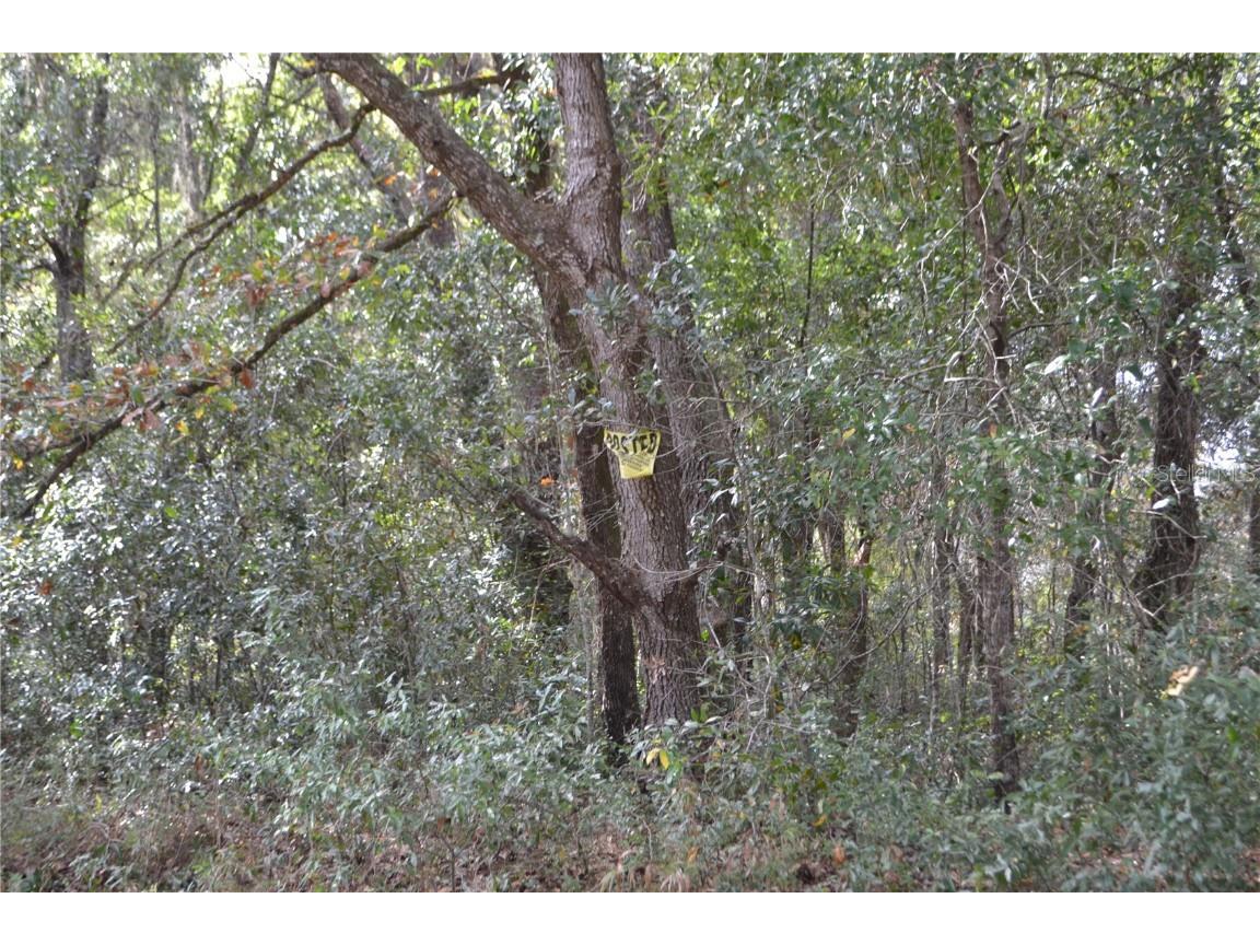  Dunnellon FL 34432 OM657525 image1