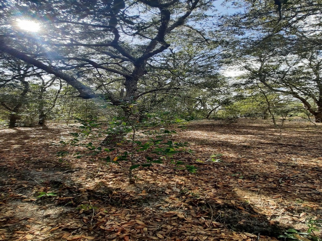  Dunnellon FL 34433 OM653008 image1