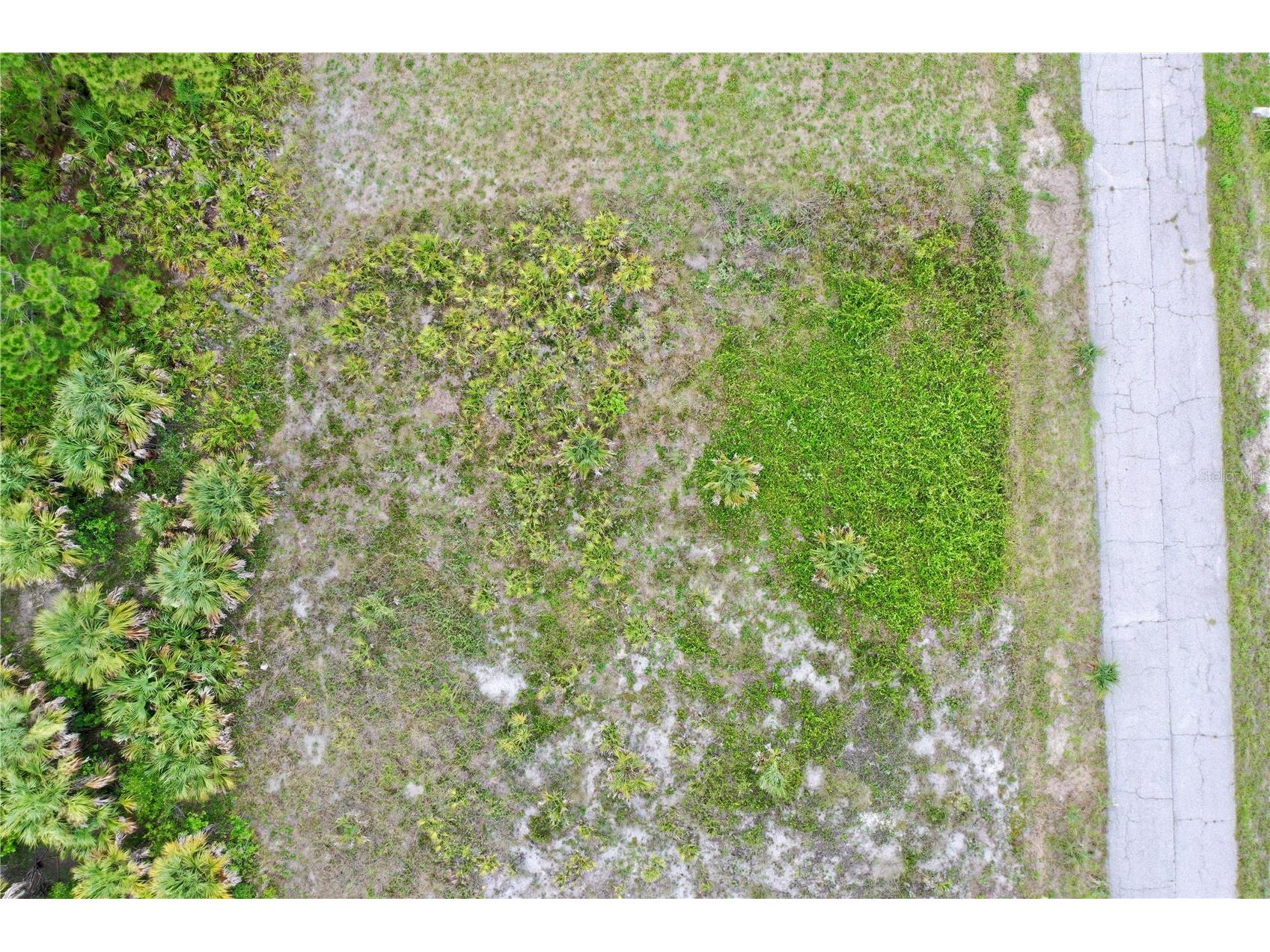 Durango Avenue North Port FL 34287 C7527878 image3