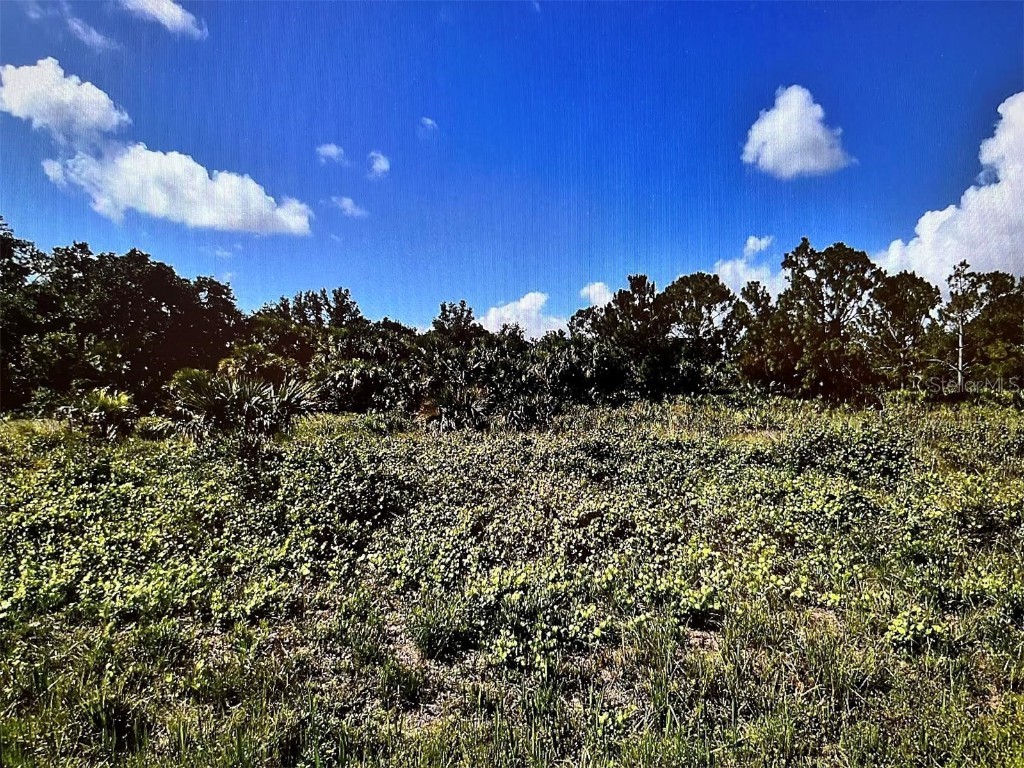 Durango Avenue North Port FL 34287 N6141983 image3