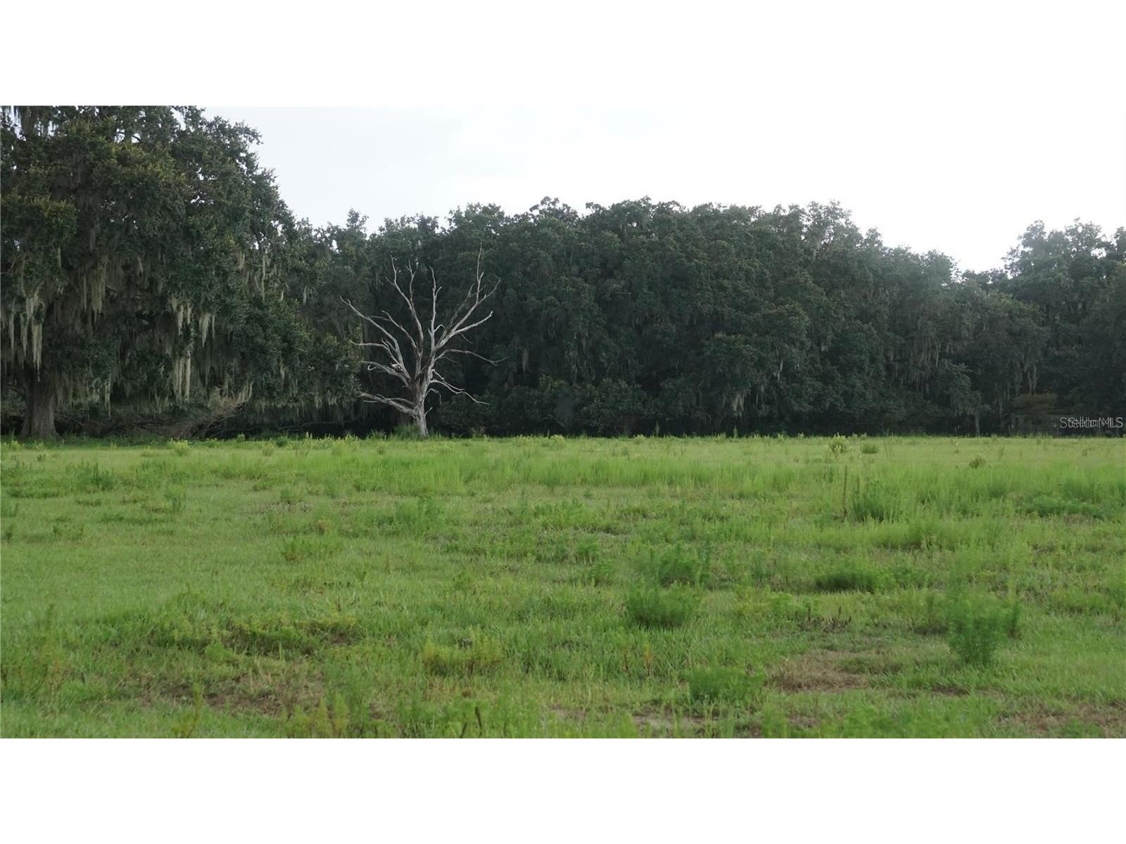 Durant Rd Dover FL 33527 TB8506016 image1