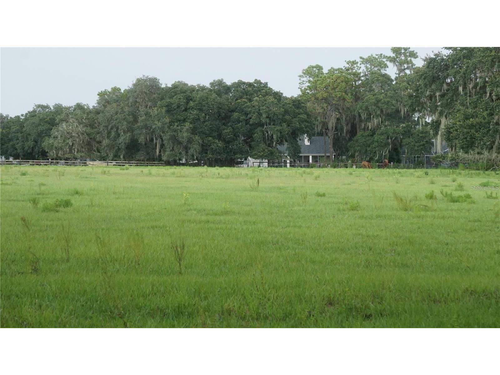 Durant Rd Dover FL 33527 TB8506016 image6