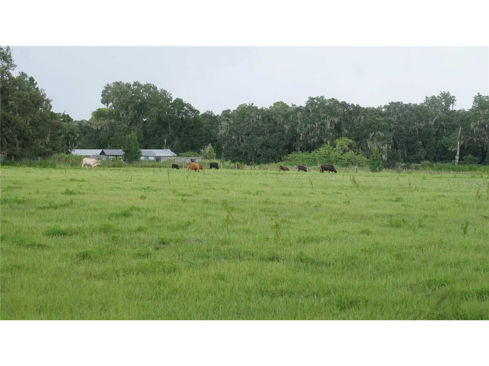 Durant Rd Dover FL 33527 TB8506016 image7