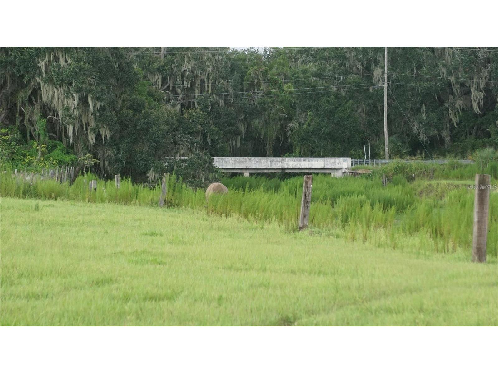Durant Rd Dover FL 33527 TB8506016 image9