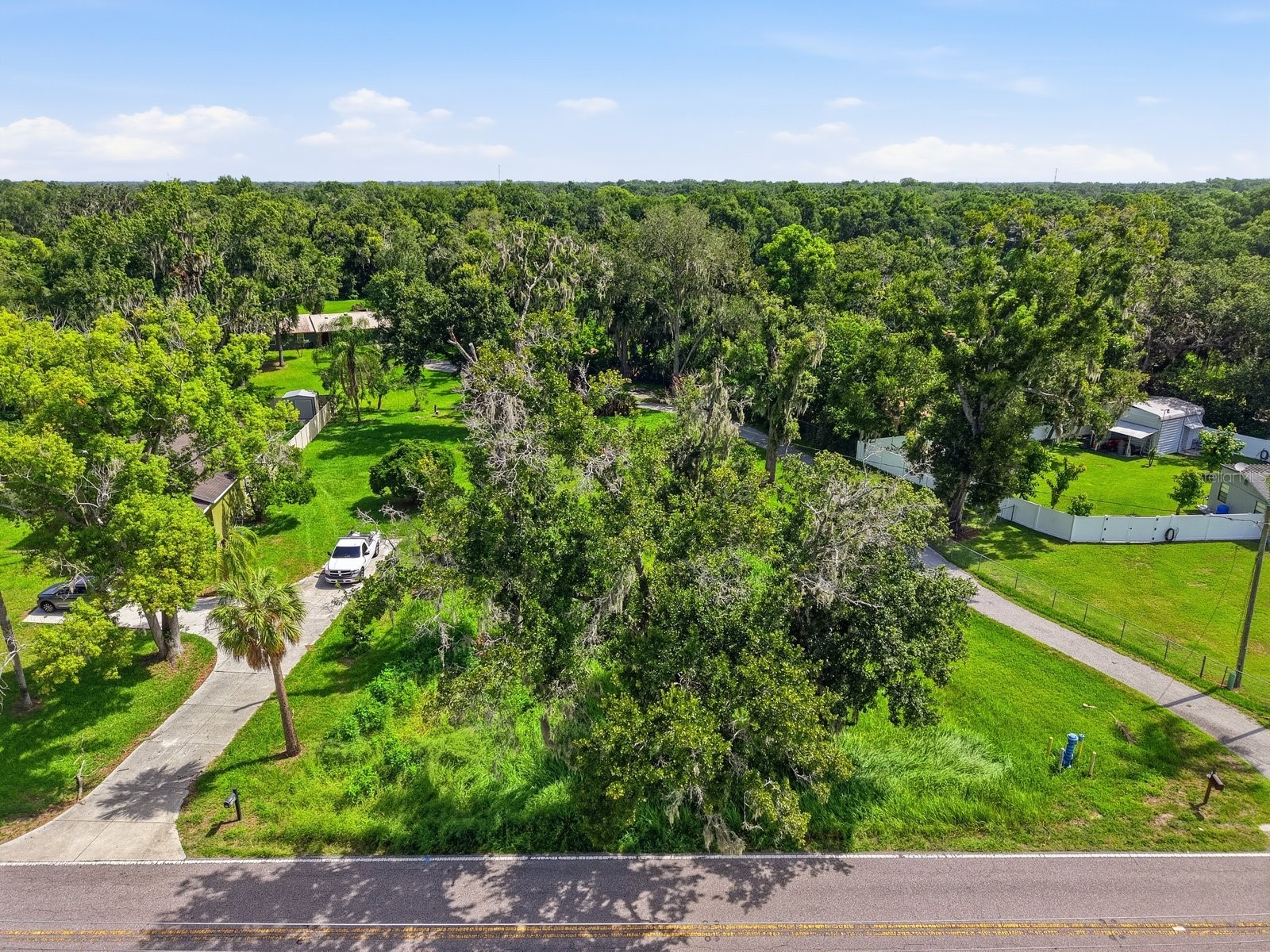 Durant Road Valrico FL 33594 TB8528680 image2
