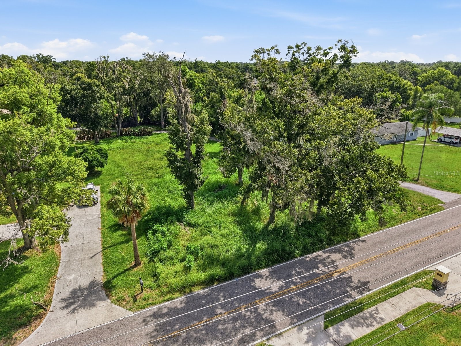 Durant Road Valrico FL 33594 TB8528680 image3