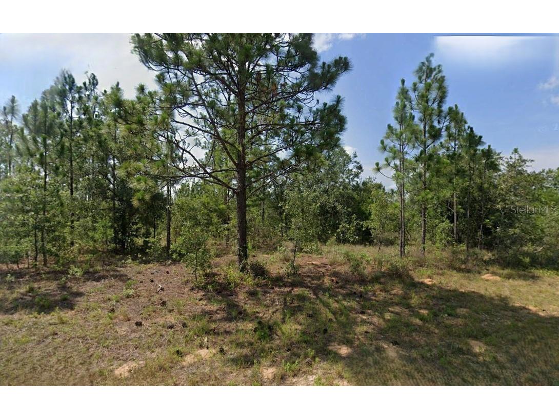 Durham Drive Chipley FL 32428 O6356141 image1