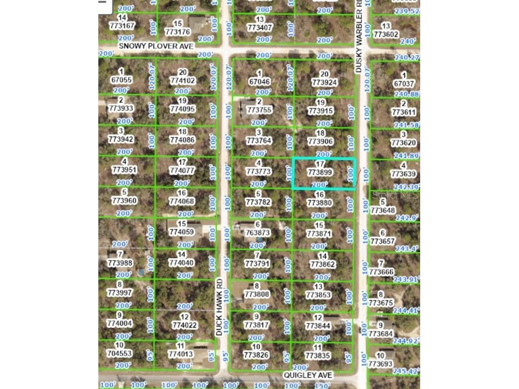 Dusky Warbler Road Weeki Wachee FL 34614 W7849505 image1