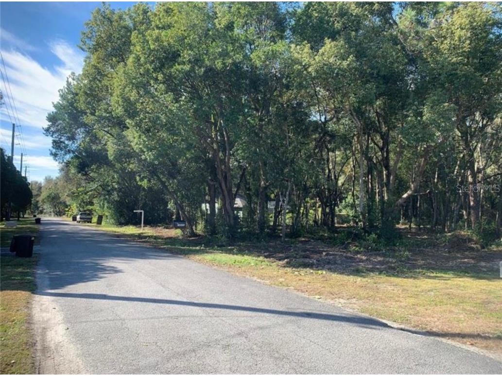 Dvorak Drive Spring Hill FL 34610 TB8418974 image2