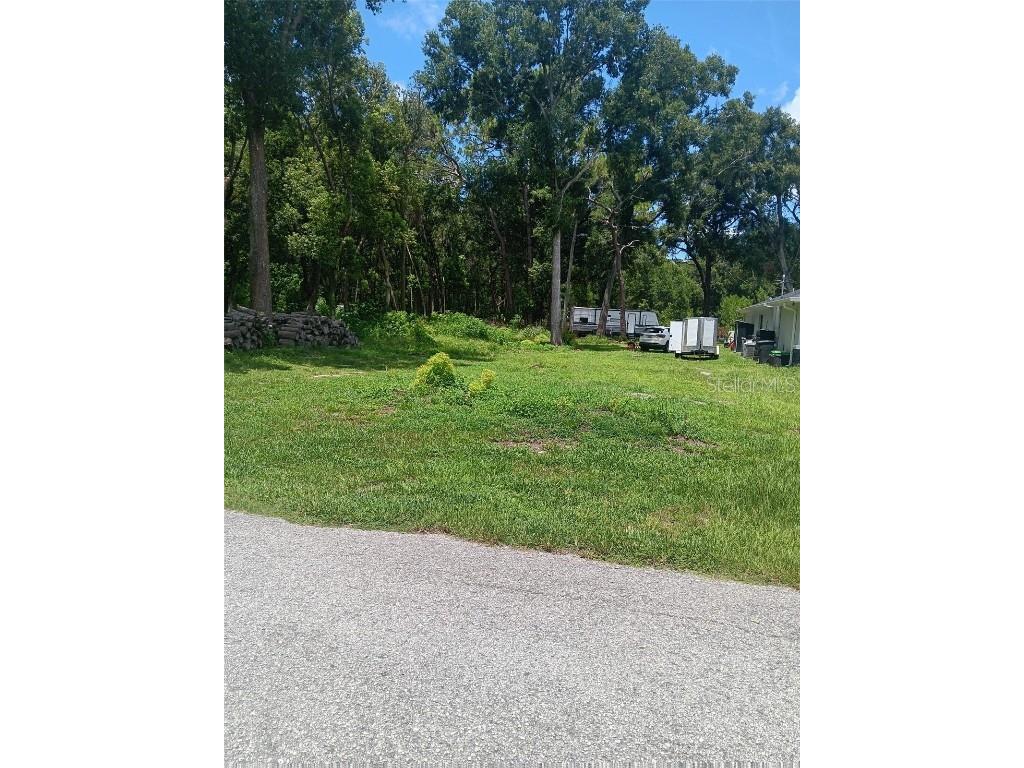 Dvorak Drive Spring Hill FL 34610 TB8418974 image3