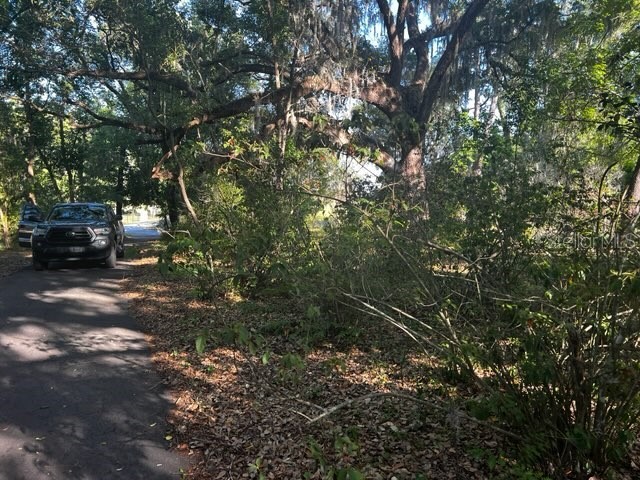  Dade City FL 33523 A4690741 image4