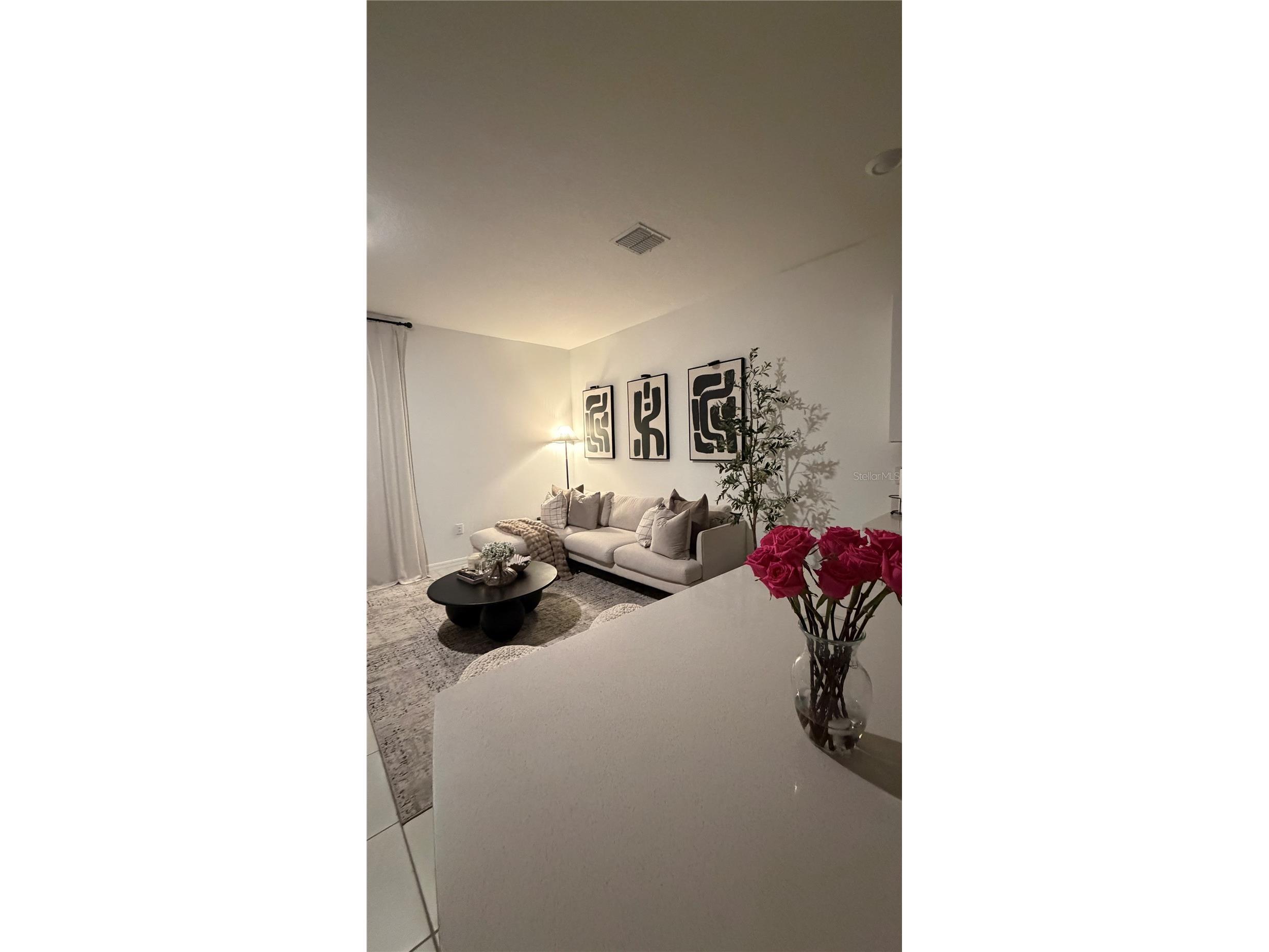 2966 Canary Avenue Davenport FL 33837 S5147209 image11