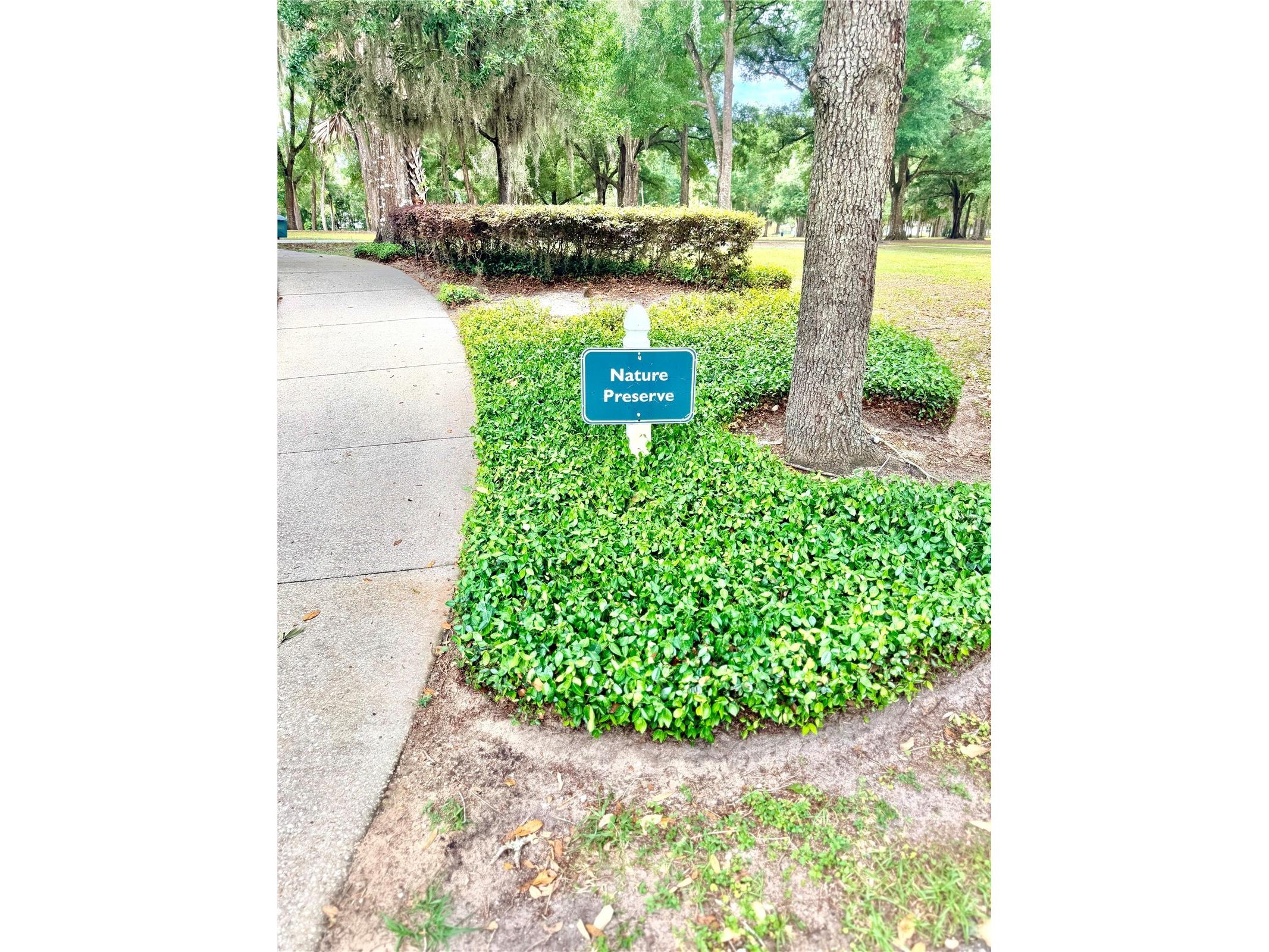 1541 Hackney Terrace Deland FL 32720 O6407023 image3