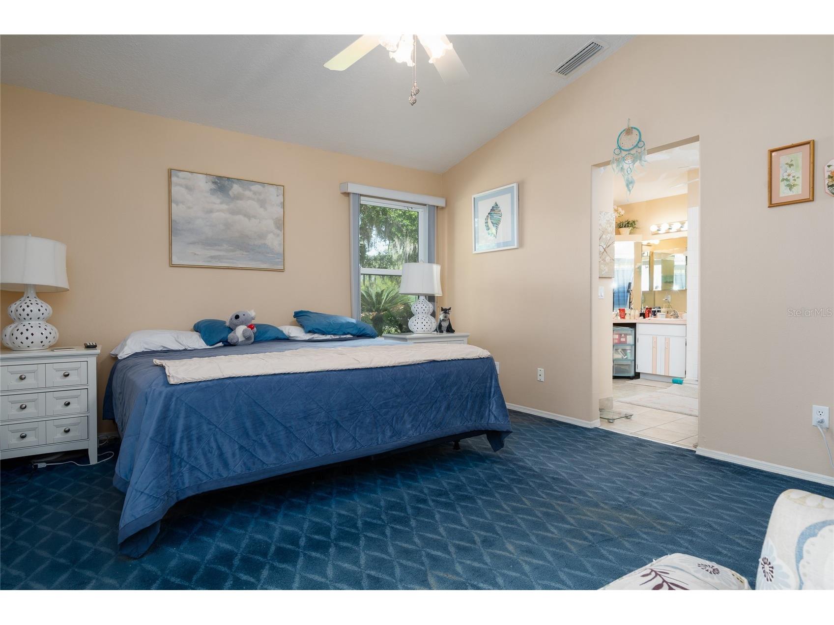  Deland FL 32720 V4948331 image14