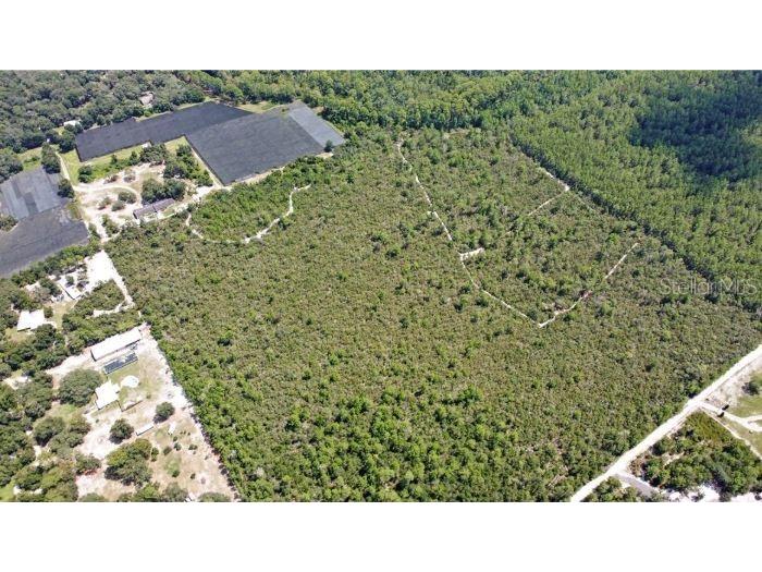  De Leon Springs FL 32130 O6261166 image1