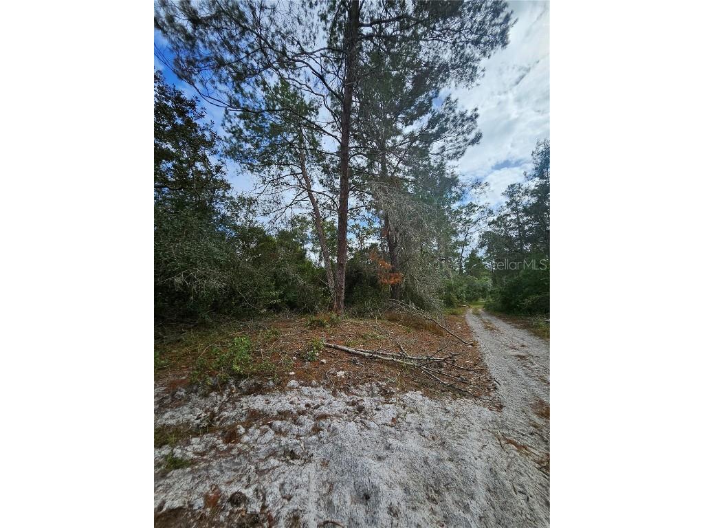  Deltona FL 32738 V4939261 image10