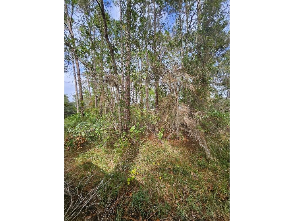  Deltona FL 32738 V4939261 image11