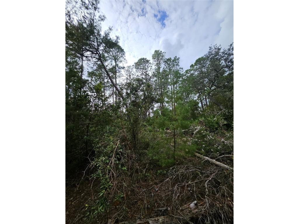  Deltona FL 32738 V4939261 image12