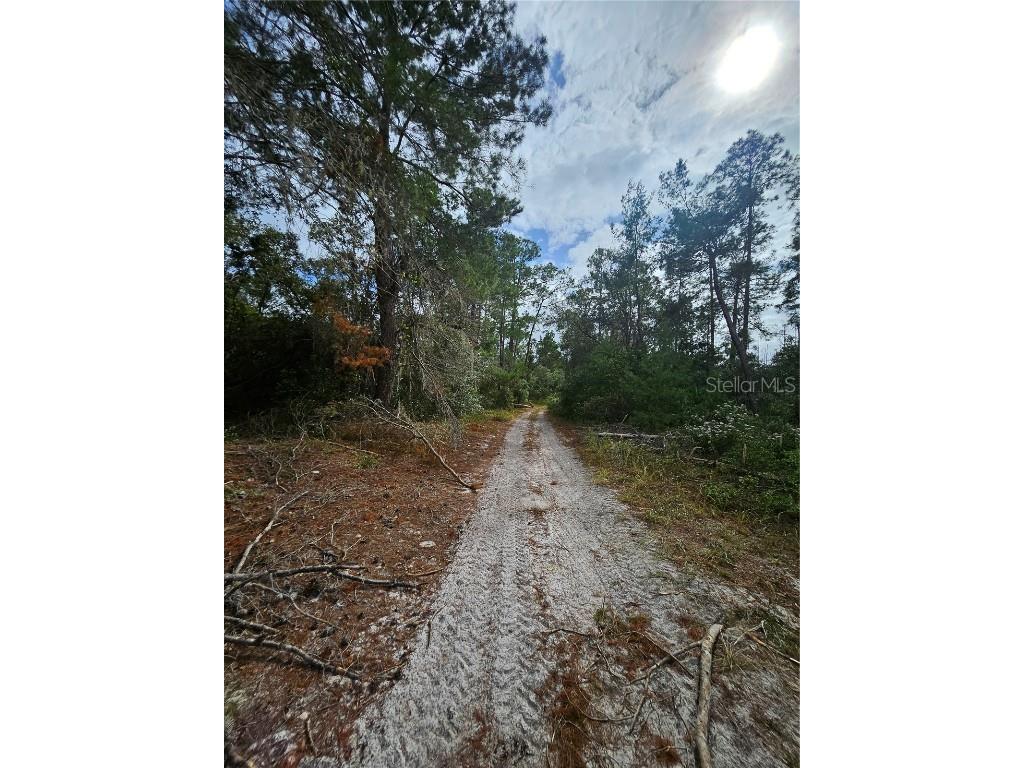  Deltona FL 32738 V4939261 image13