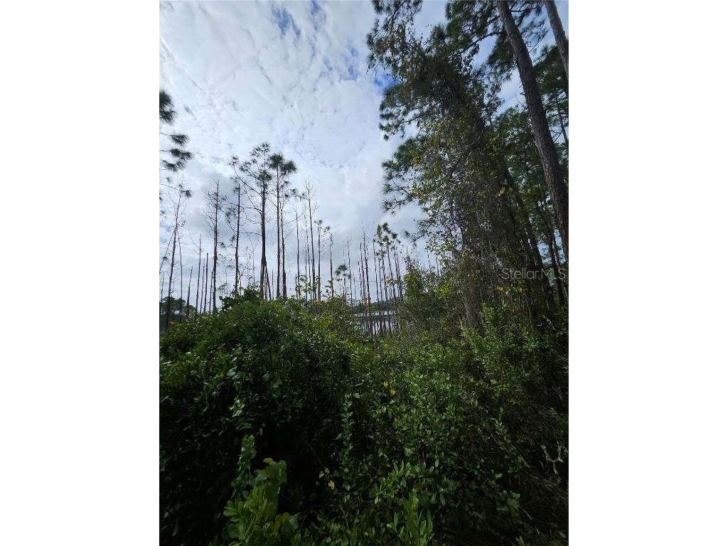  Deltona FL 32738 V4939261 image14