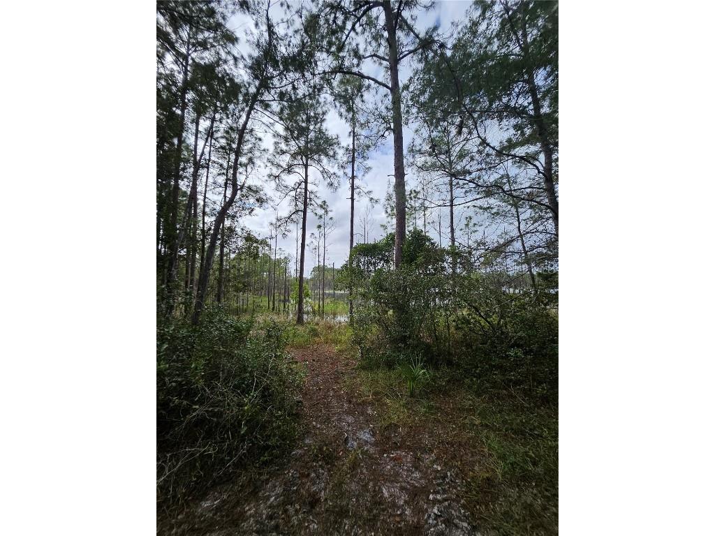  Deltona FL 32738 V4939261 image15