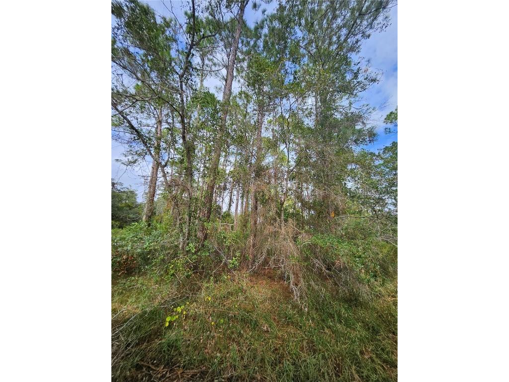  Deltona FL 32738 V4939261 image16