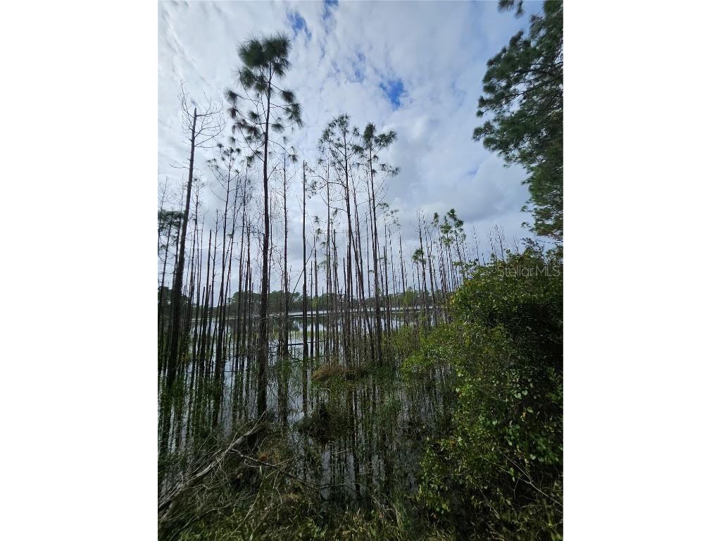  Deltona FL 32738 V4939261 image17