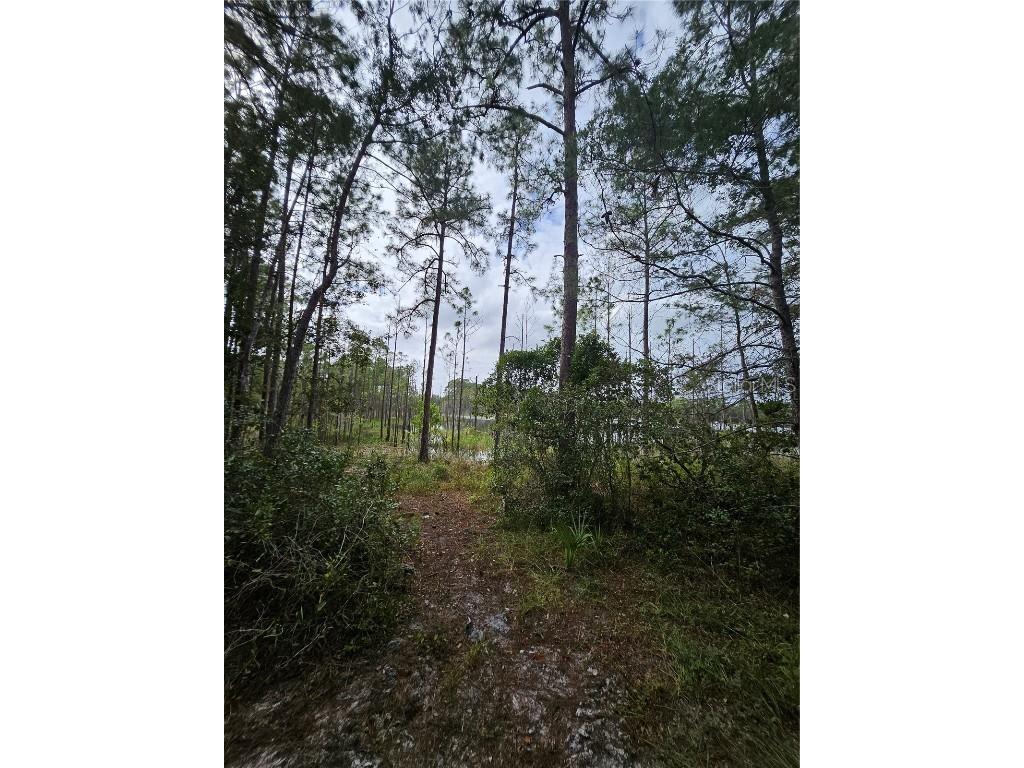  Deltona FL 32738 V4939261 image18