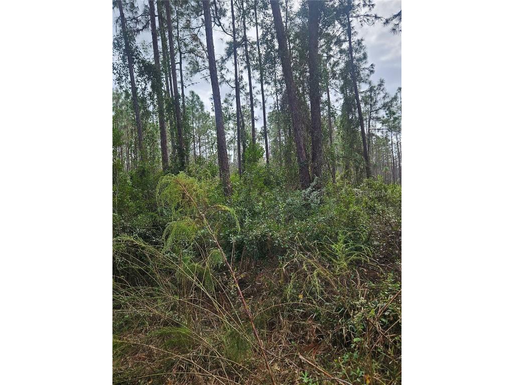  Deltona FL 32738 V4939261 image19