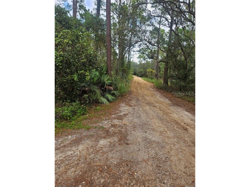  Deltona FL 32738 V4939261 image2