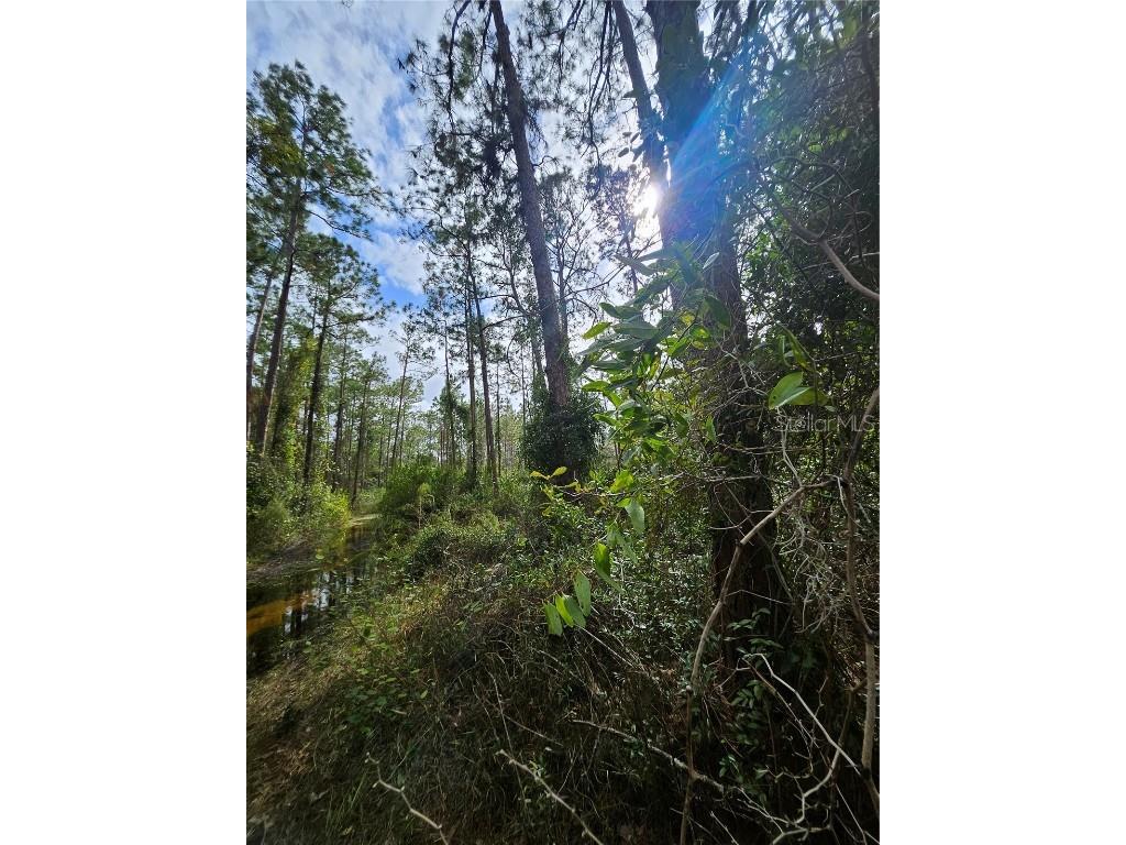  Deltona FL 32738 V4939261 image20