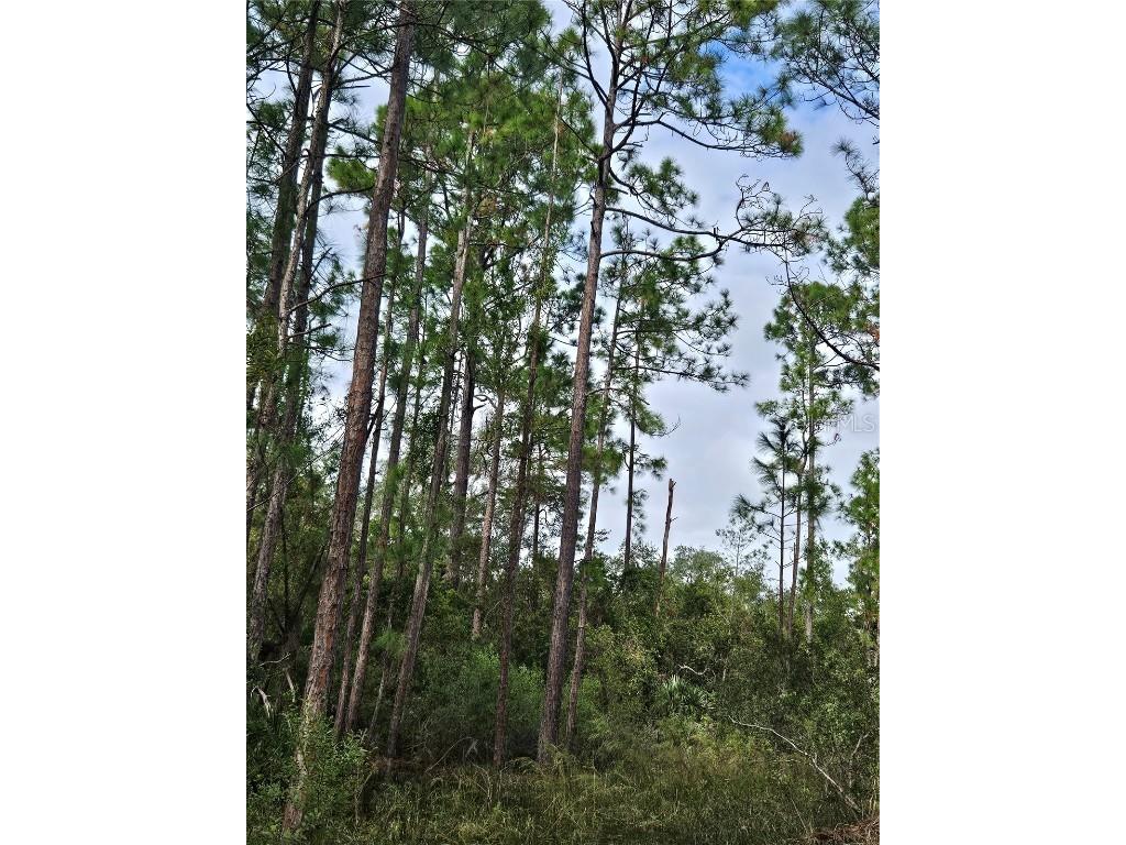  Deltona FL 32738 V4939261 image21