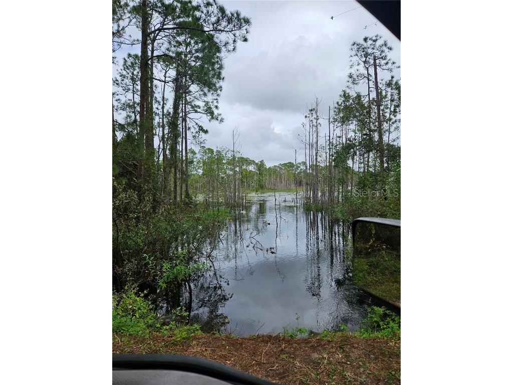  Deltona FL 32738 V4939261 image22