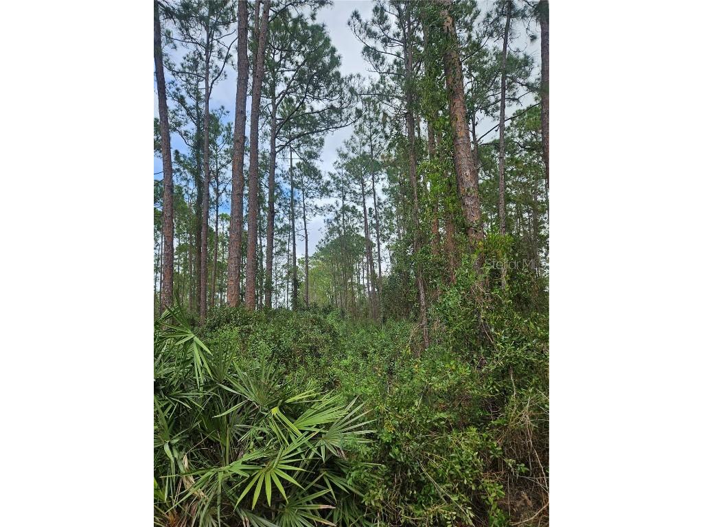  Deltona FL 32738 V4939261 image24