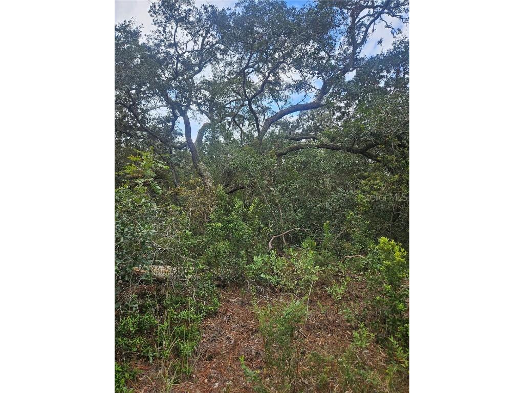  Deltona FL 32738 V4939261 image25